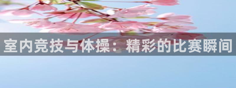 bsports官网 必一运动