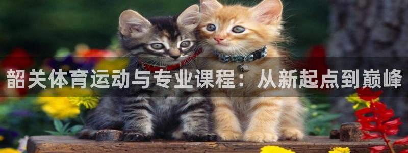 必一运动app