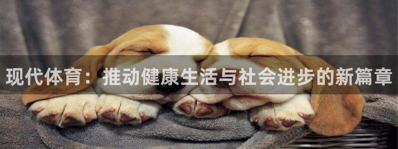 bsports必一运动