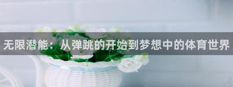 必一运动体育官网：无限潜能：从弹跳的开始到梦想中的体育世界