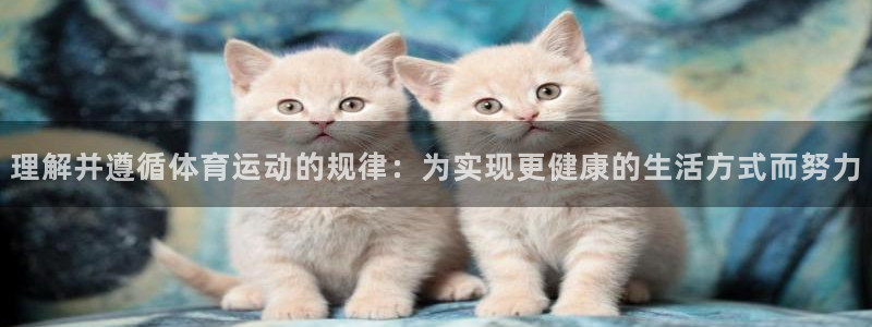 必一运动app