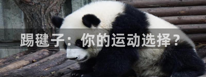 bsport必一运动