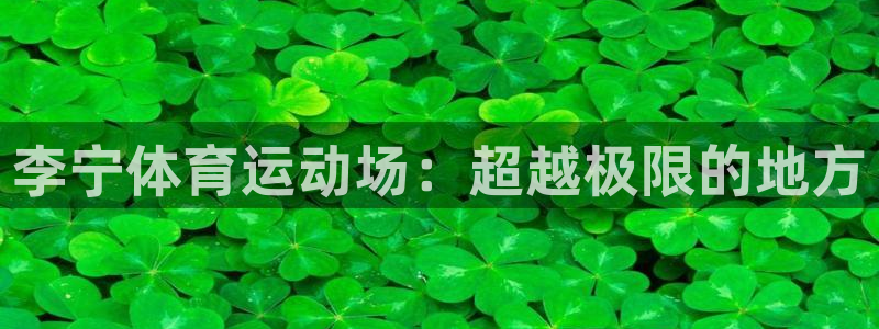 必一运动体育官网：李宁体育运动场：超越极限的地方