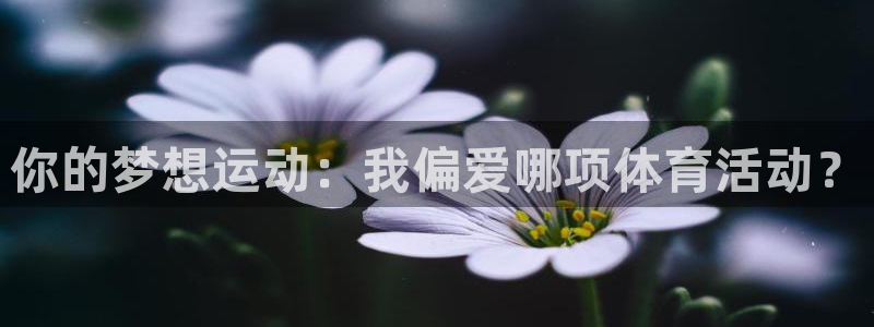 必一运动体育：你的梦想运动：我偏爱哪项体育活动？